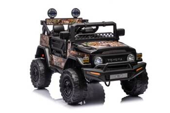 Auto Battery Toyota FJ Black Forest 4x4