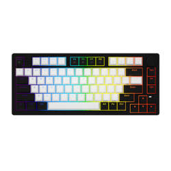 Dareu EK75 Wired Keyboard Rainbow switches (white-black)