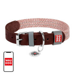 Leather dog collar with QR code Waudog size L w. 25mm, brown