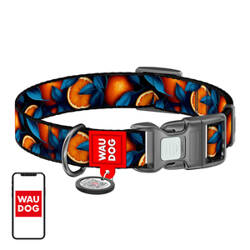 Nylon dog collar with QR code Waudog "Oranges" size M