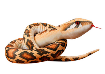 Plush Brown Snake Mascot 170 cm