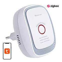 Smart Combustible Gas Alarm HS1CG-E