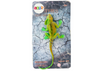 Green Rubber Lizard Figurine