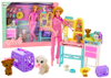 Veterinarian Doll Set, Treatment Furniture, Accessories, Pets