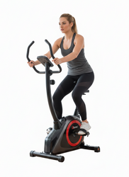 Rower treningowy magnetyczny AbarQs RW-33