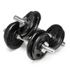 Hantle treningowe żeliwne AbarQs HS-20KG (2x10kg)