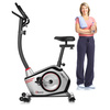 Rower treningowy magnetyczny AbarQs RW-38