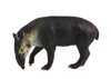 Figurka Kolekcjonerska Tapir Zwierzęta Świata